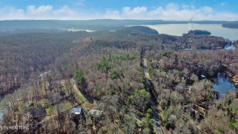 Tiny photo for Red Cloud Lane, Ten Mile, TN 37880 (MLS # 1325492)
