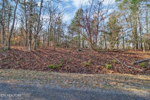 Tiny photo for Red Cloud Lane, Ten Mile, TN 37880 (MLS # 1325492)