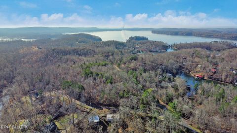 Tiny photo for Red Cloud Lane, Ten Mile, TN 37880 (MLS # 1325492)