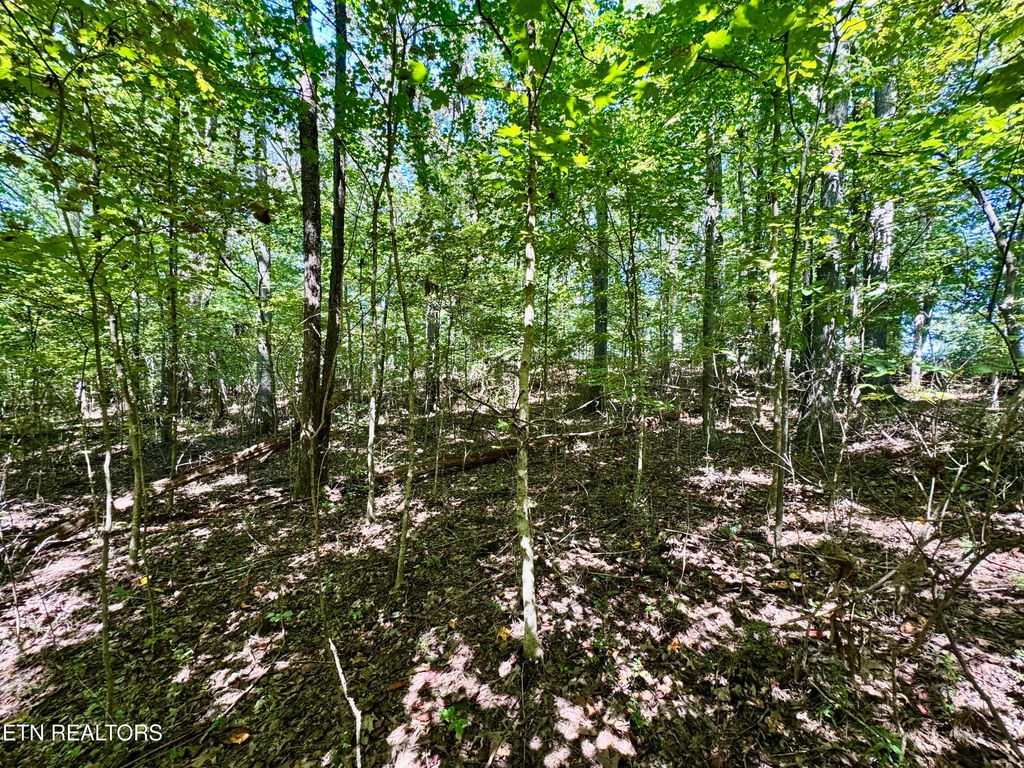 Photo of Randolph Fridley Rd, Sweetwater, TN 37874 (MLS # 1316525)