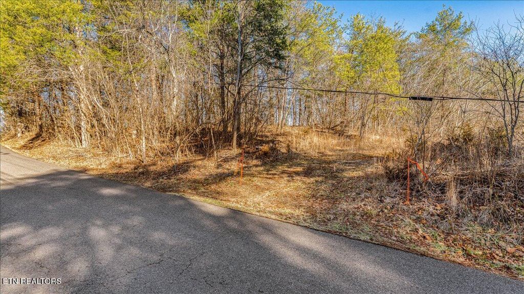 Photo of 7820 Swaggerty Rd, Knoxville, TN 37920 (MLS # 1329336)