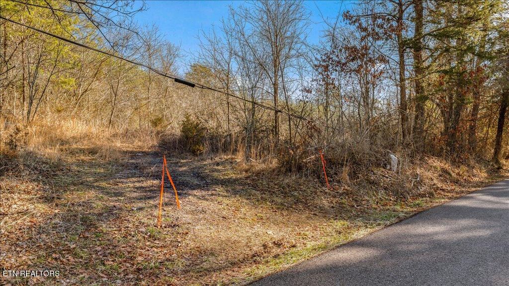 Photo of 7820 Swaggerty Rd, Knoxville, TN 37920 (MLS # 1329336)