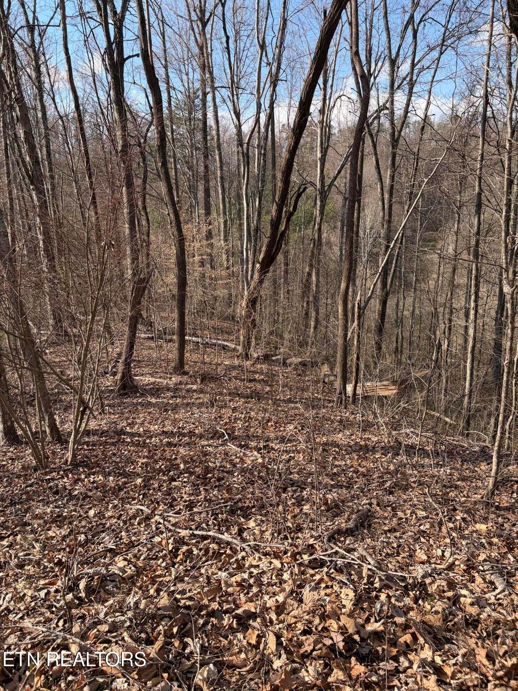 Photo of 819 Jama Way, Maryville, TN 37803 (MLS # 1333587)