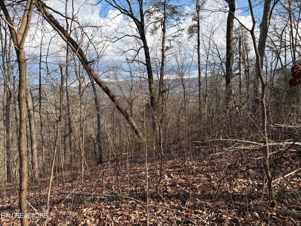 Photo of 819 Jama Way, Maryville, TN 37803 (MLS # 1333587)