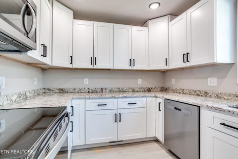 Tiny photo for 115 Paul Lane, LaFollette, TN 37766 (MLS # 1317141)