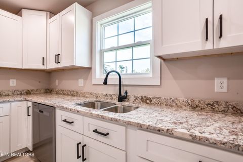 Tiny photo for 115 Paul Lane, LaFollette, TN 37766 (MLS # 1317141)