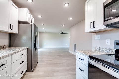 Tiny photo for 115 Paul Lane, LaFollette, TN 37766 (MLS # 1317141)