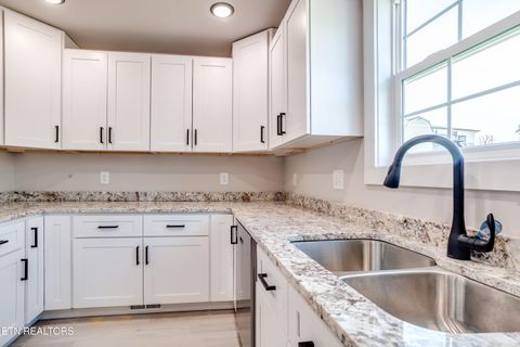 Tiny photo for 115 Paul Lane, LaFollette, TN 37766 (MLS # 1317141)