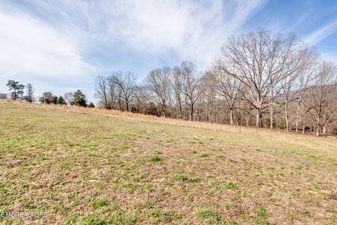 Tiny photo for 115 Paul Lane, LaFollette, TN 37766 (MLS # 1317141)