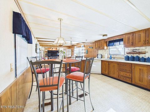 Tiny photo for 3924 River Rd, Ten Mile, TN 37880 (MLS # 1341346)