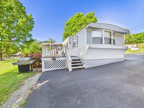 Tiny photo for 3924 River Rd, Ten Mile, TN 37880 (MLS # 1341346)