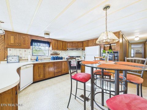 Tiny photo for 3924 River Rd, Ten Mile, TN 37880 (MLS # 1341346)