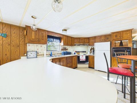 Tiny photo for 3924 River Rd, Ten Mile, TN 37880 (MLS # 1341346)