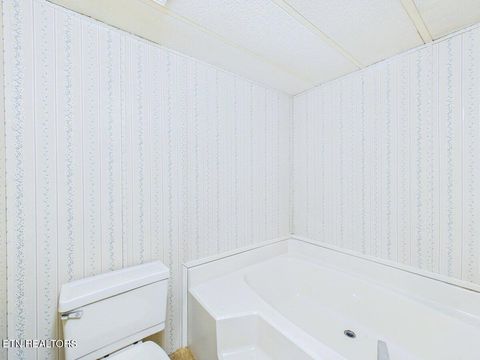 Tiny photo for 3924 River Rd, Ten Mile, TN 37880 (MLS # 1341346)