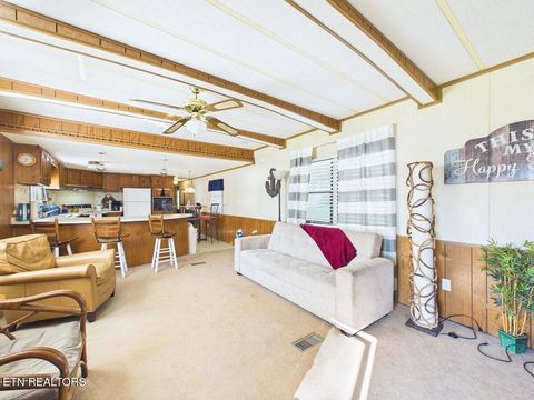 Tiny photo for 3924 River Rd, Ten Mile, TN 37880 (MLS # 1341346)