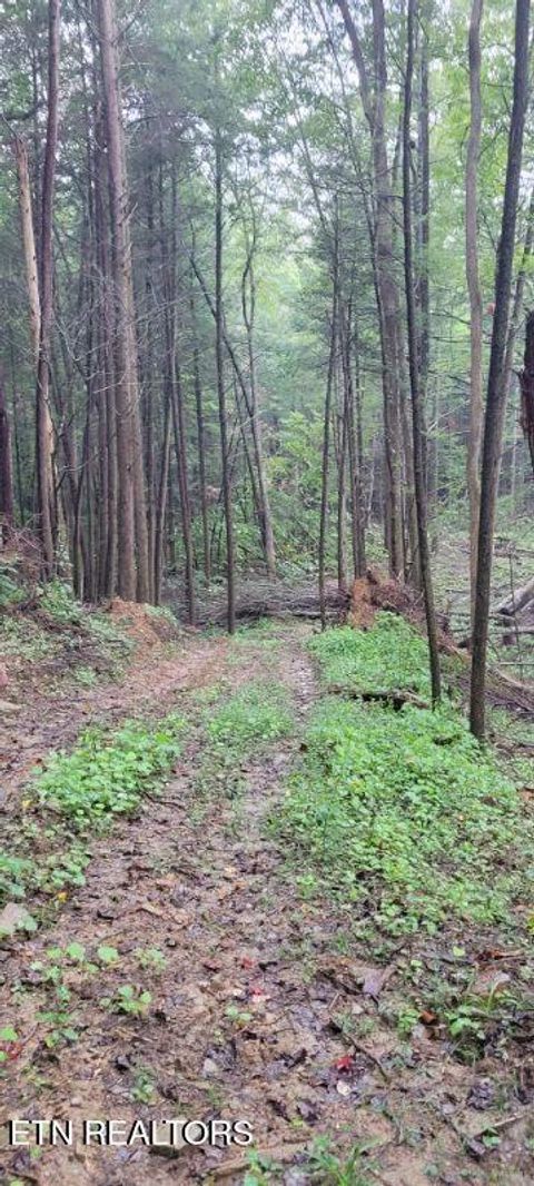 Tiny photo for 150 Prong Of Clear, Jamestown, TN 38556 (MLS # 1336925)