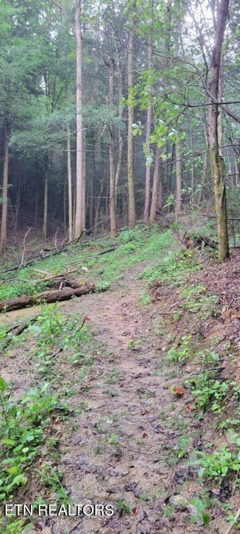 Tiny photo for 150 Prong Of Clear, Jamestown, TN 38556 (MLS # 1336925)