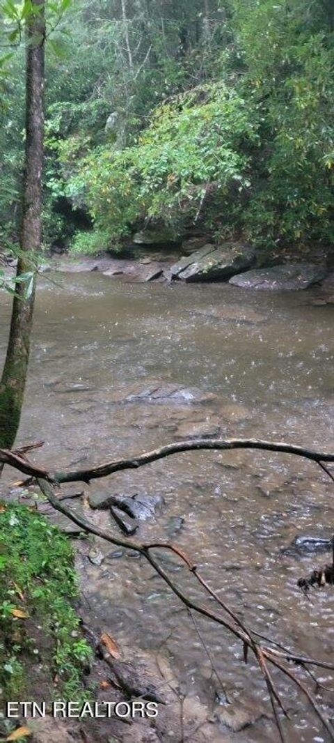 Tiny photo for 150 Prong Of Clear, Jamestown, TN 38556 (MLS # 1336925)