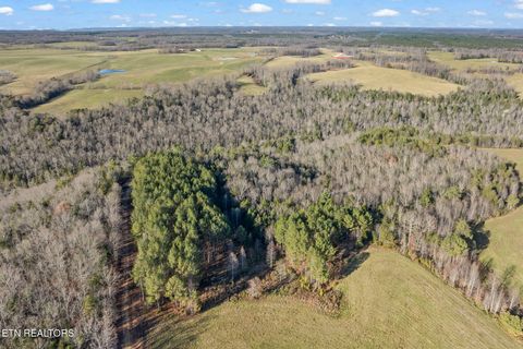 Tiny photo for 150 Prong Of Clear, Jamestown, TN 38556 (MLS # 1336925)