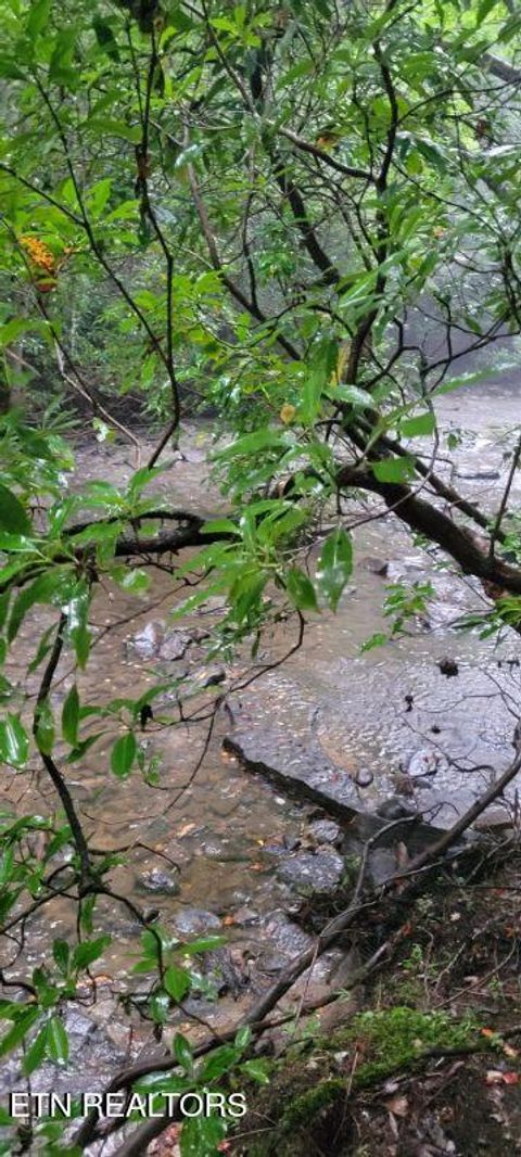 Tiny photo for 150 Prong Of Clear, Jamestown, TN 38556 (MLS # 1336925)