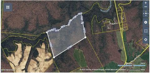 Tiny photo for 150 Prong Of Clear, Jamestown, TN 38556 (MLS # 1336925)