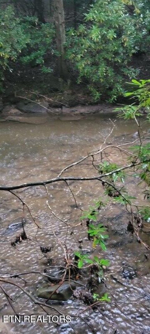 Tiny photo for 150 Prong Of Clear, Jamestown, TN 38556 (MLS # 1336925)