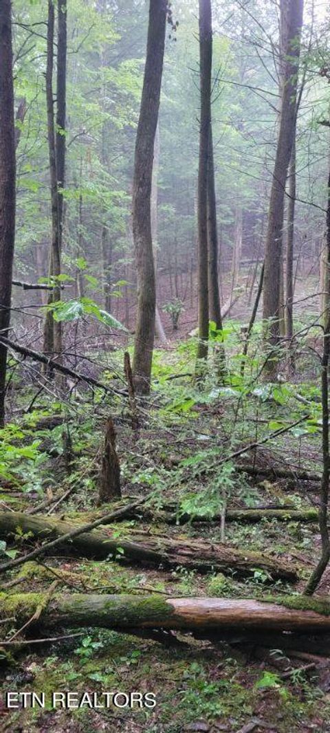 Tiny photo for 150 Prong Of Clear, Jamestown, TN 38556 (MLS # 1336925)