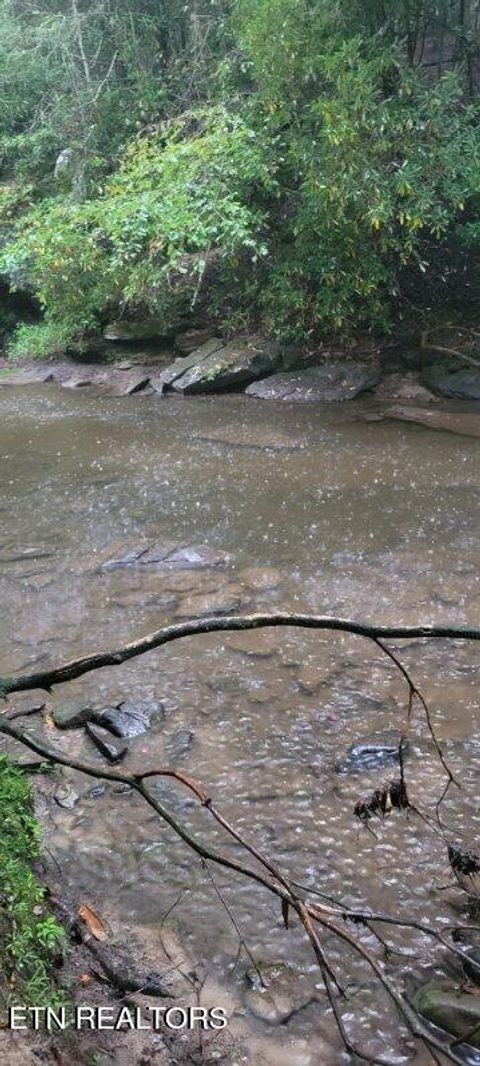 Tiny photo for 150 Prong Of Clear, Jamestown, TN 38556 (MLS # 1336925)