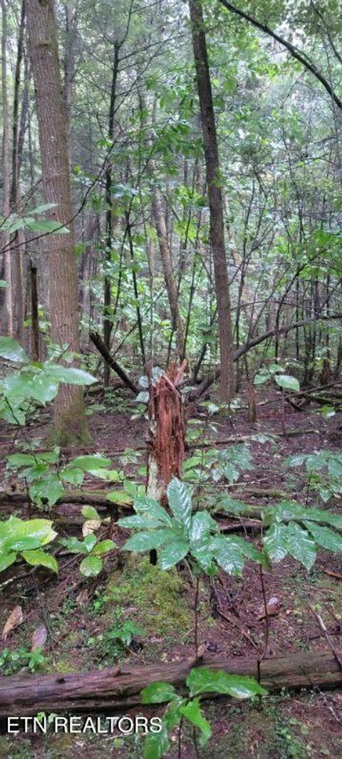 Tiny photo for 150 Prong Of Clear, Jamestown, TN 38556 (MLS # 1336925)