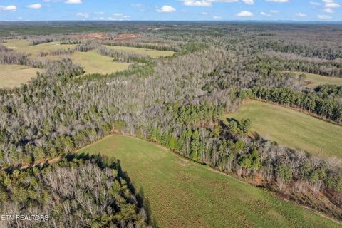 Tiny photo for 150 Prong Of Clear, Jamestown, TN 38556 (MLS # 1336925)