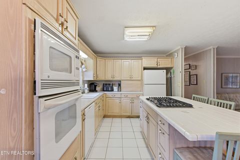 Tiny photo for 102 Coffey Circle, Rockwood, TN 37854 (MLS # 1343143)