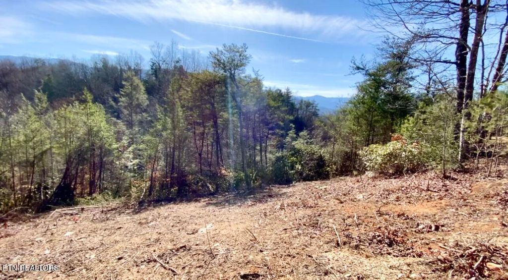 Photo of 34 Pinnacle Vista RD, Gatlinburg, TN 37738 (MLS # 1294710)