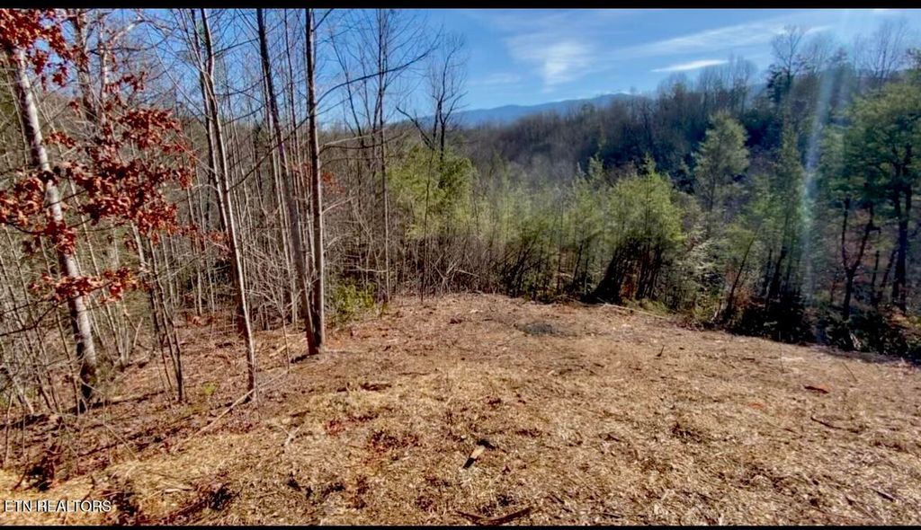 Photo of 34 Pinnacle Vista RD, Gatlinburg, TN 37738 (MLS # 1294710)