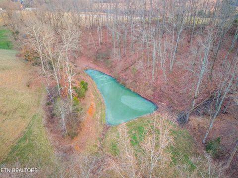 Tiny photo for 4217 Us Highway 411, Maryville, TN 37801 (MLS # 1328270)