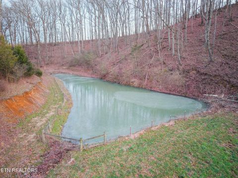 Tiny photo for 4217 Us Highway 411, Maryville, TN 37801 (MLS # 1328270)