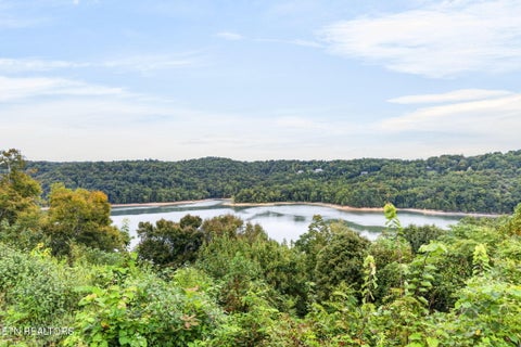 Tiny photo for 2070 Holly Bend Drive, Byrdstown, TN 38549 (MLS # 1355471)