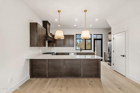 Tiny photo for 845 Vera Valley Way, Knoxville, TN 37919 (MLS # 1334634)