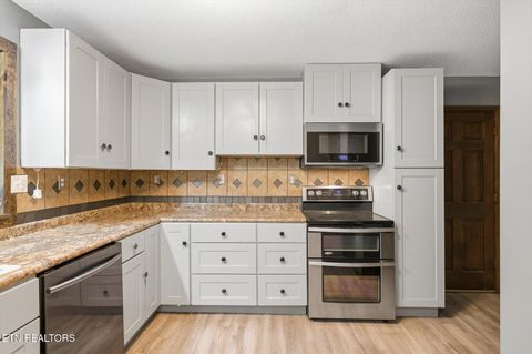 Tiny photo for 107 County Road 584, Englewood, TN 37329 (MLS # 1342136)