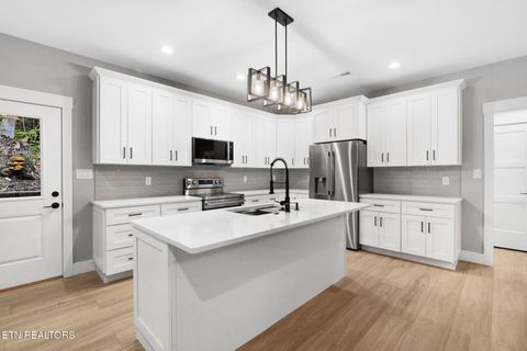 Tiny photo for 2521 Black Oak Ridge Rd, Sevierville, TN 37876 (MLS # 1317678)