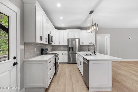 Tiny photo for 2521 Black Oak Ridge Rd, Sevierville, TN 37876 (MLS # 1317678)