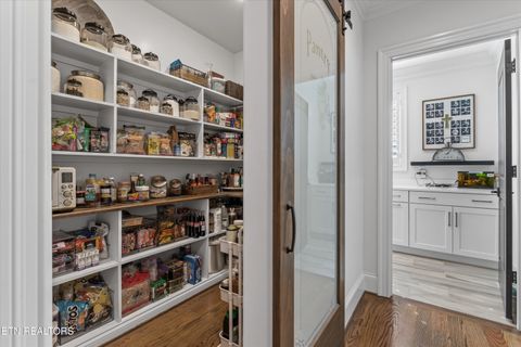 Tiny photo for 527 Larksong Drive, Knoxville, TN 37934 (MLS # 1313686)