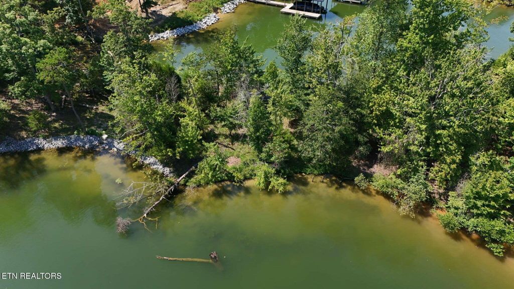 Photo of Lot 77 Indian Shadows Drive, Ten Mile, TN 37880 (MLS # 1318372)