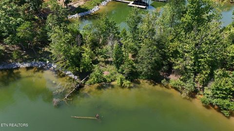 Photo of Lot 77 Indian Shadows Drive, Ten Mile, TN 37880 (MLS # 1318372)