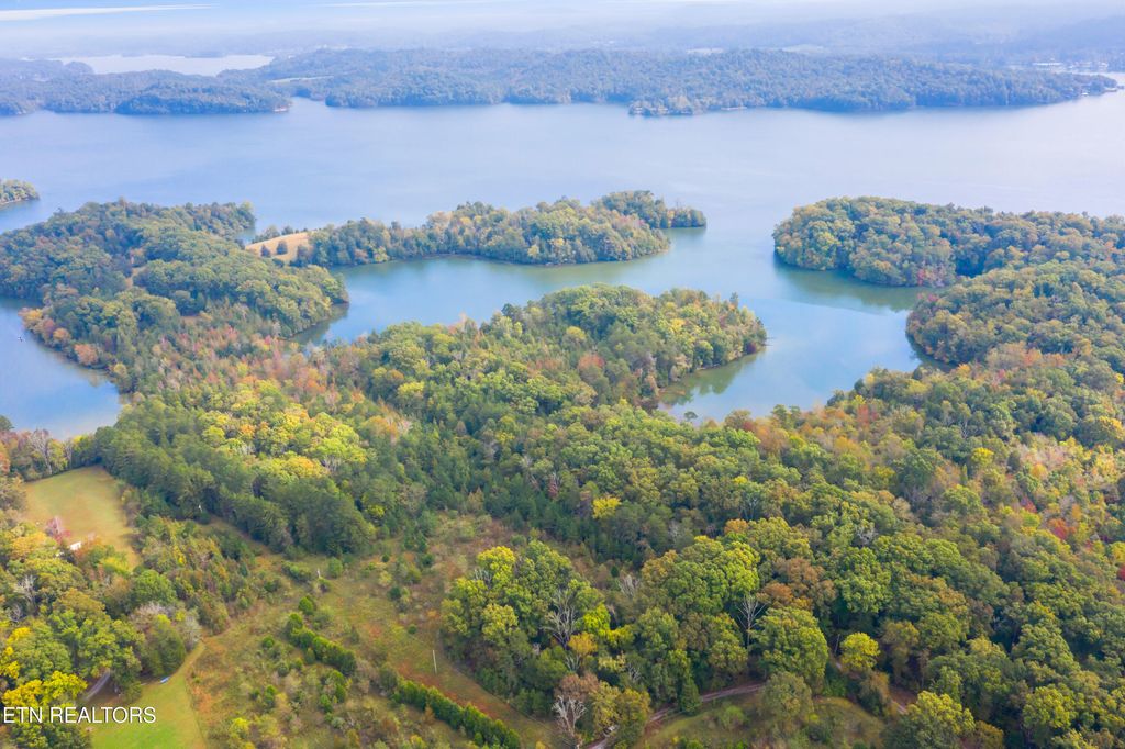 Photo of 0 Rodgers Lane, Rockwood, TN 37854 (MLS # 1292270)