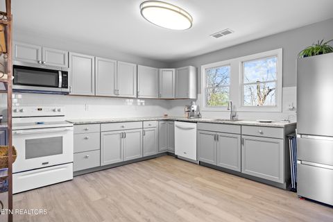 Tiny photo for 4257 Skyline drive Drive, Knoxville, TN 37914 (MLS # 1332117)