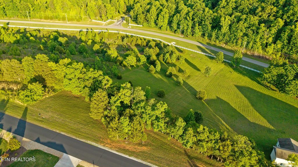 Photo of 113 Roaming Fawn Drive, Rockwood, TN 37854 (MLS # 1340506)