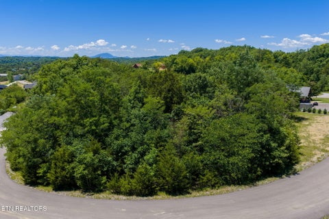 Tiny photo for 10 Bay View Point, Sevierville, TN 37876 (MLS # 1343352)