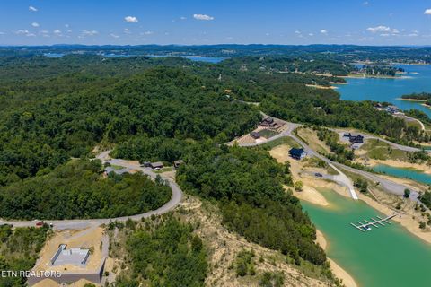 Tiny photo for 10 Bay View Point, Sevierville, TN 37876 (MLS # 1343352)