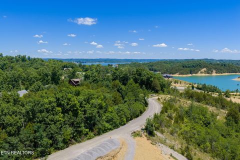 Tiny photo for 10 Bay View Point, Sevierville, TN 37876 (MLS # 1343352)