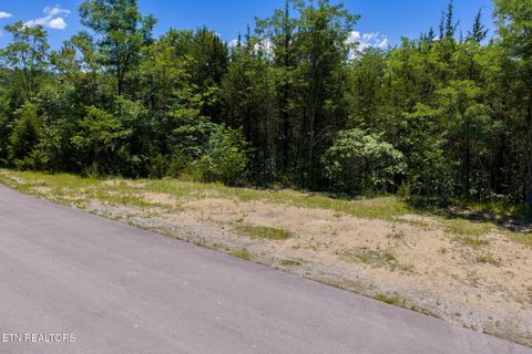 Tiny photo for 10 Bay View Point, Sevierville, TN 37876 (MLS # 1343352)